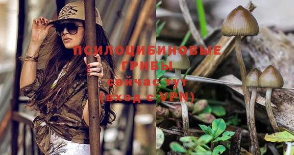таблы Заволжск
