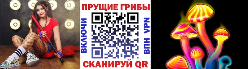 Псилоцибиновые грибы Psilocybine cubensis Трубчевск